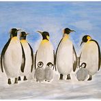 Pinguine