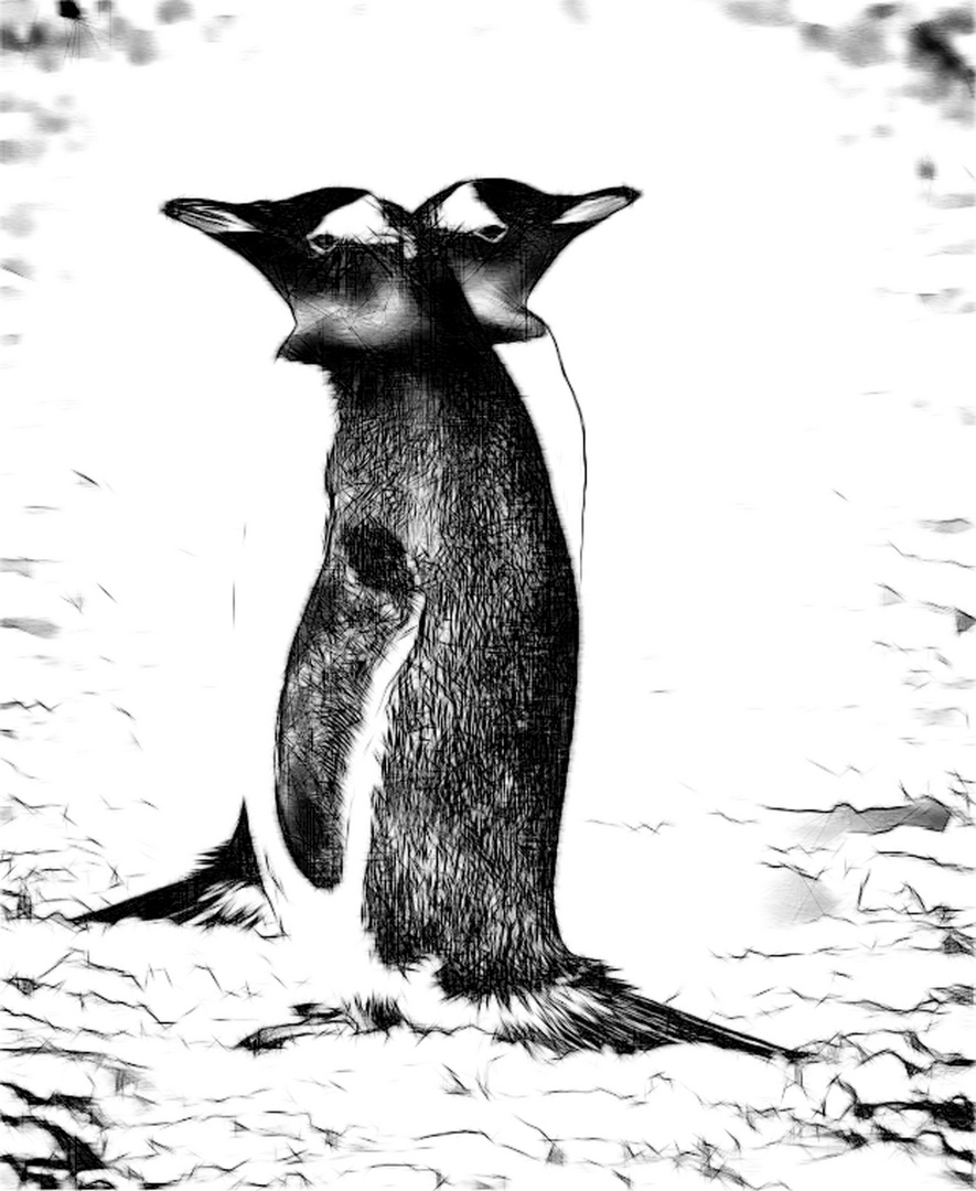 pinguine ...