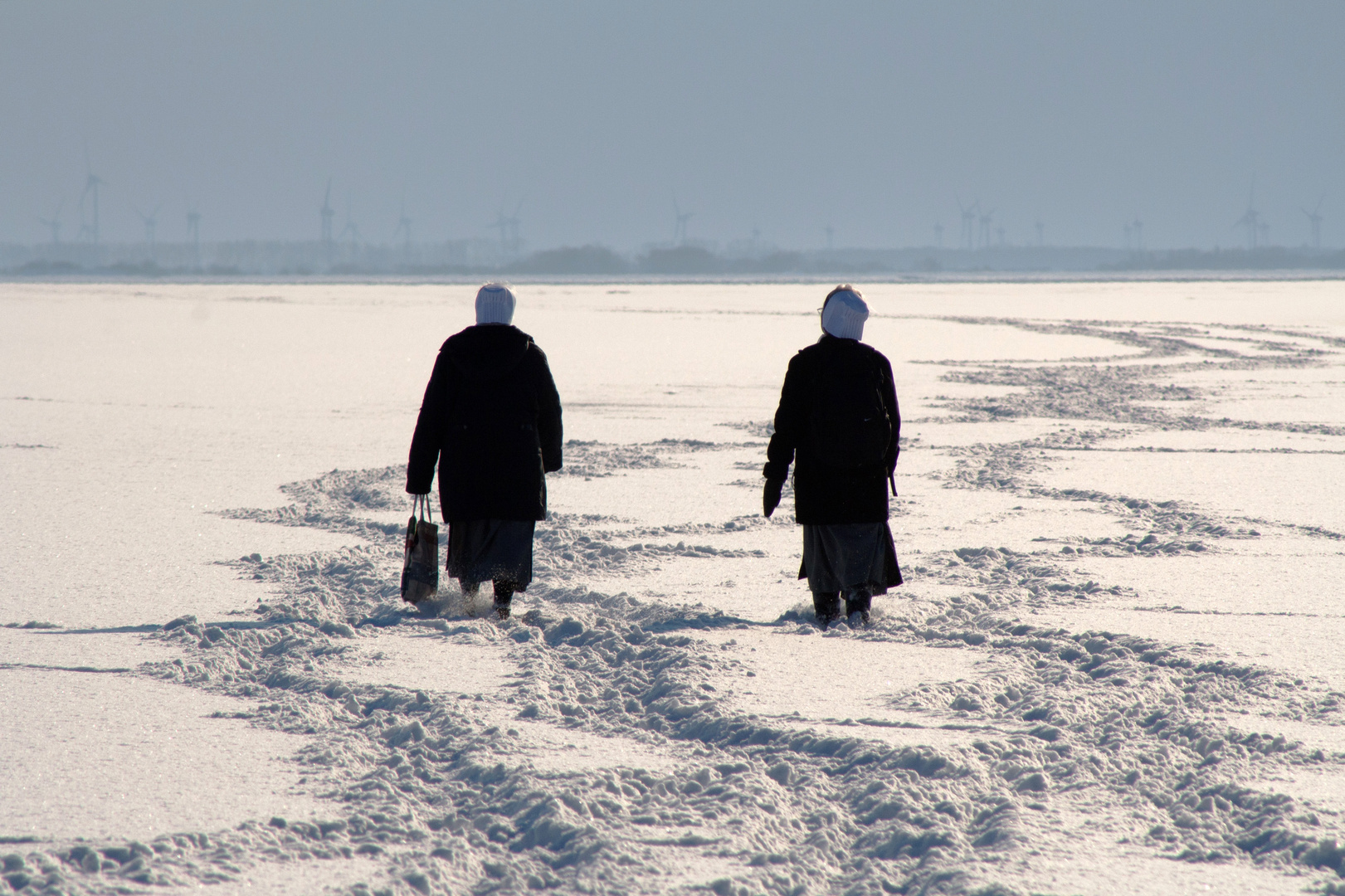 Pinguine am artkischen Nordseestrand