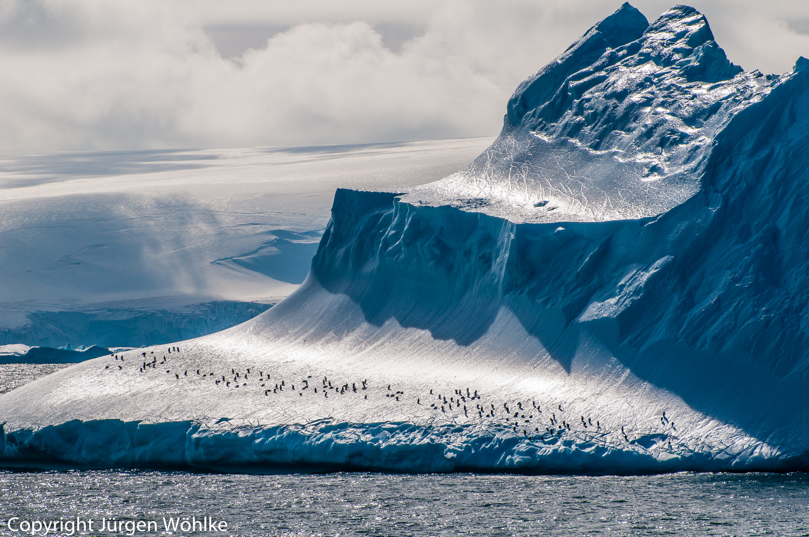Pinguine auf vorbeiziehendem Eisberg