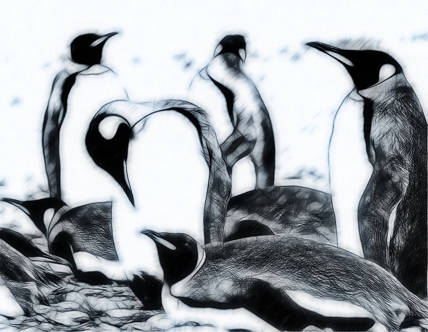 pinguine ...