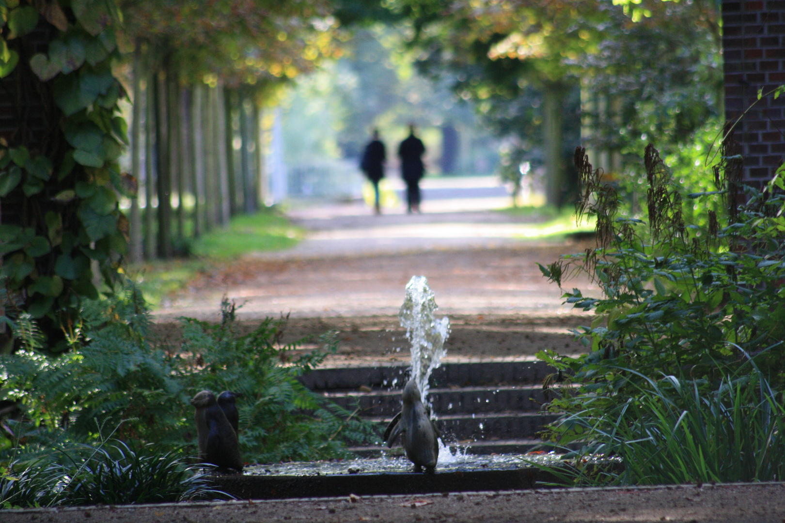 Pinguine-Im-Stadtpark