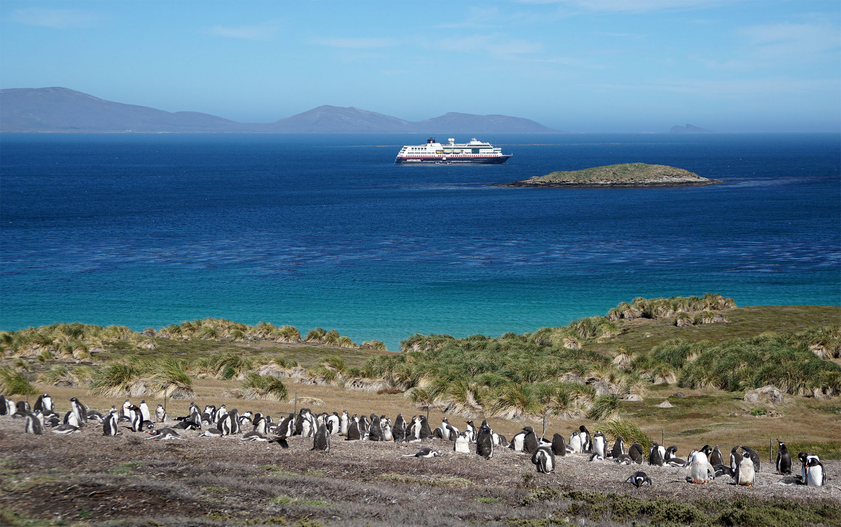 Pinguine in der Sommerfrische II