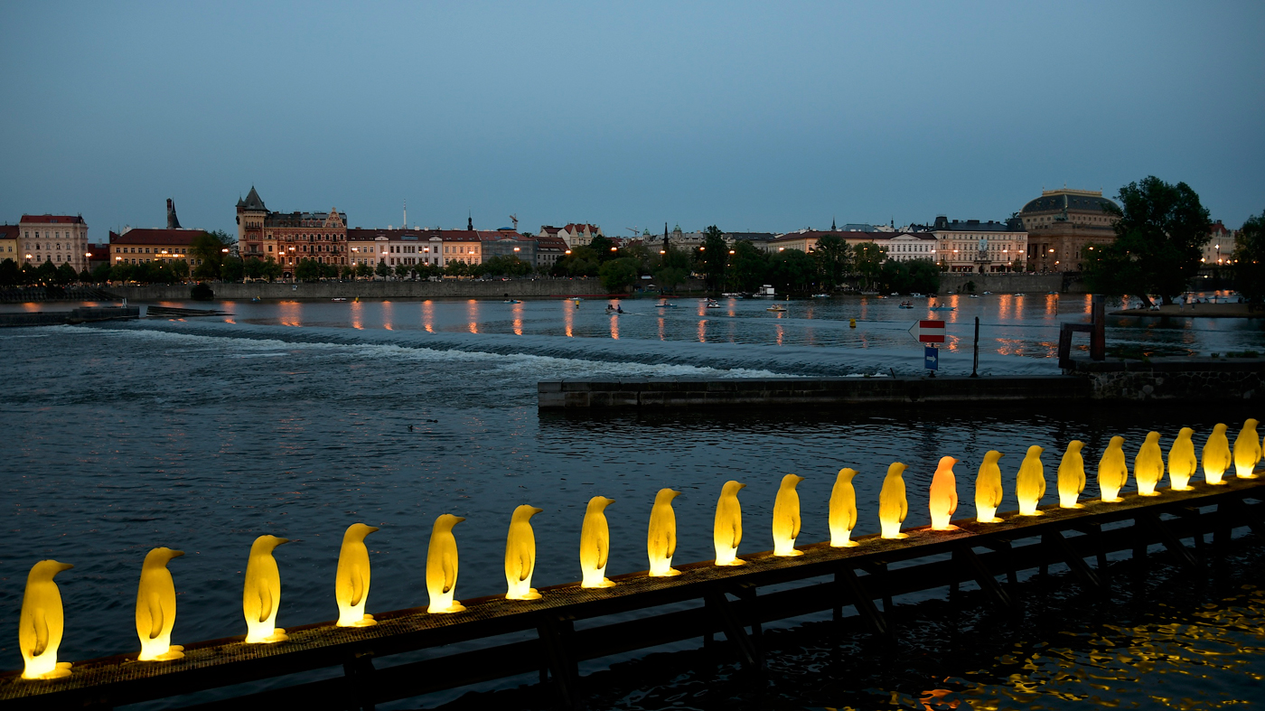 Pinguine in Prag