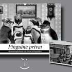 Pinguine privat