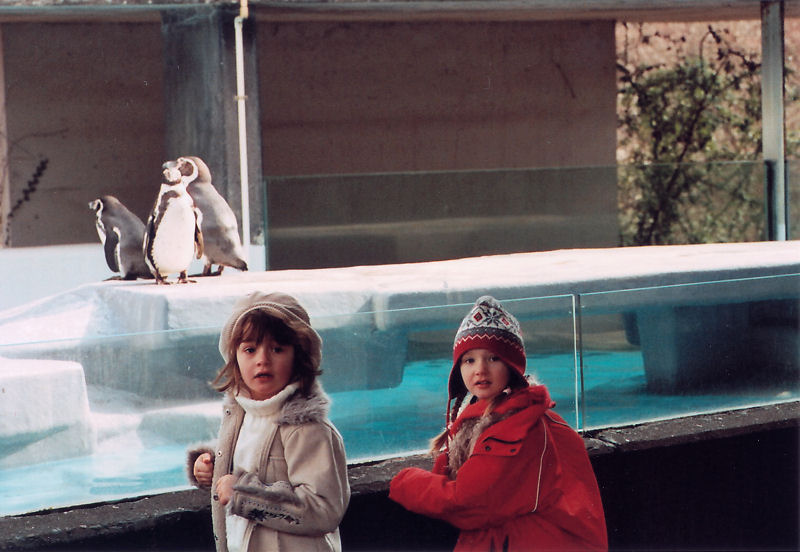 Pinguine und Mädchen