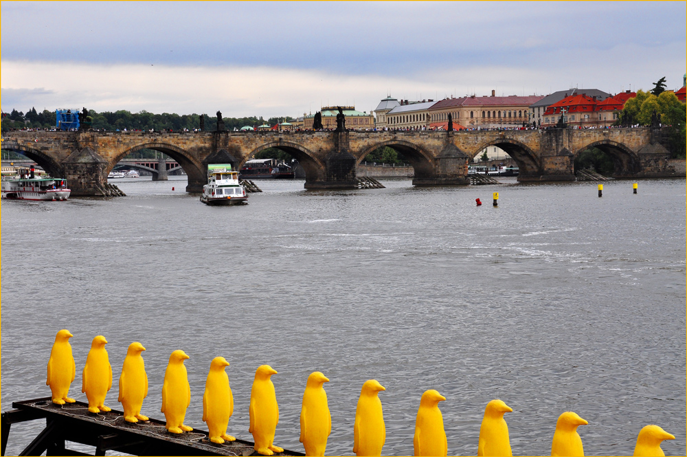 PINGUINE VOR DER KARLSBRÜCKE