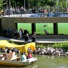 Pinguinen beim Schwimmen zusehen