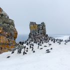 Pinguinmauer