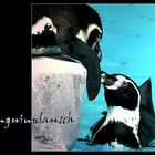 Pinguinplausch