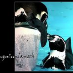 Pinguinplausch