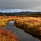 Pingvellir