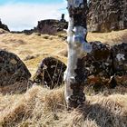 pingvellir