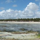 ...Pingwe Strand Zanzibar...