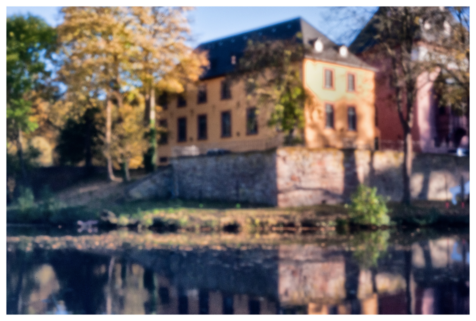 Pinhole Autumn