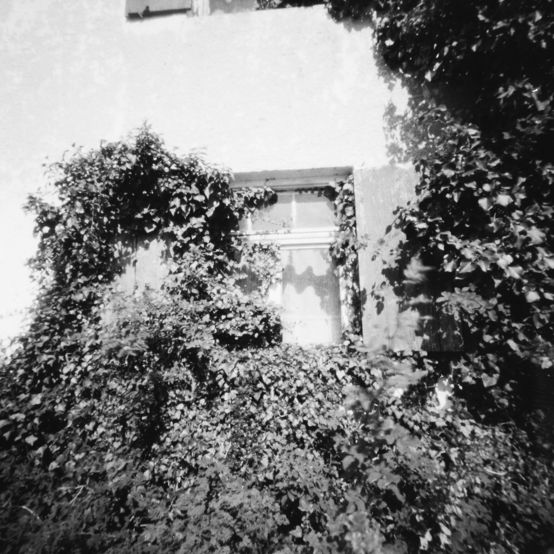 Pinhole: Bellenberg Bauernhoffenster eingewachsen