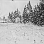 Pinhole Schnee