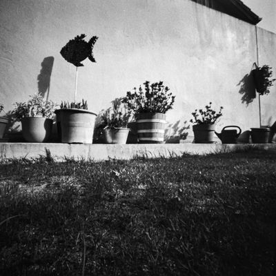Pinhole: TheWall
