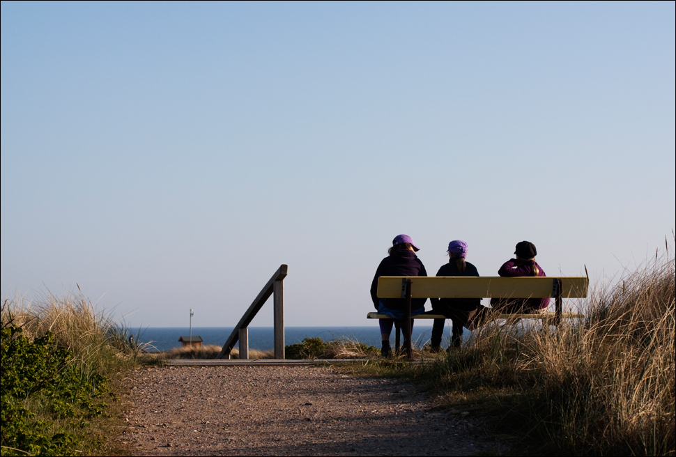 Pink am Meer