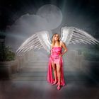 | Pink Angel |