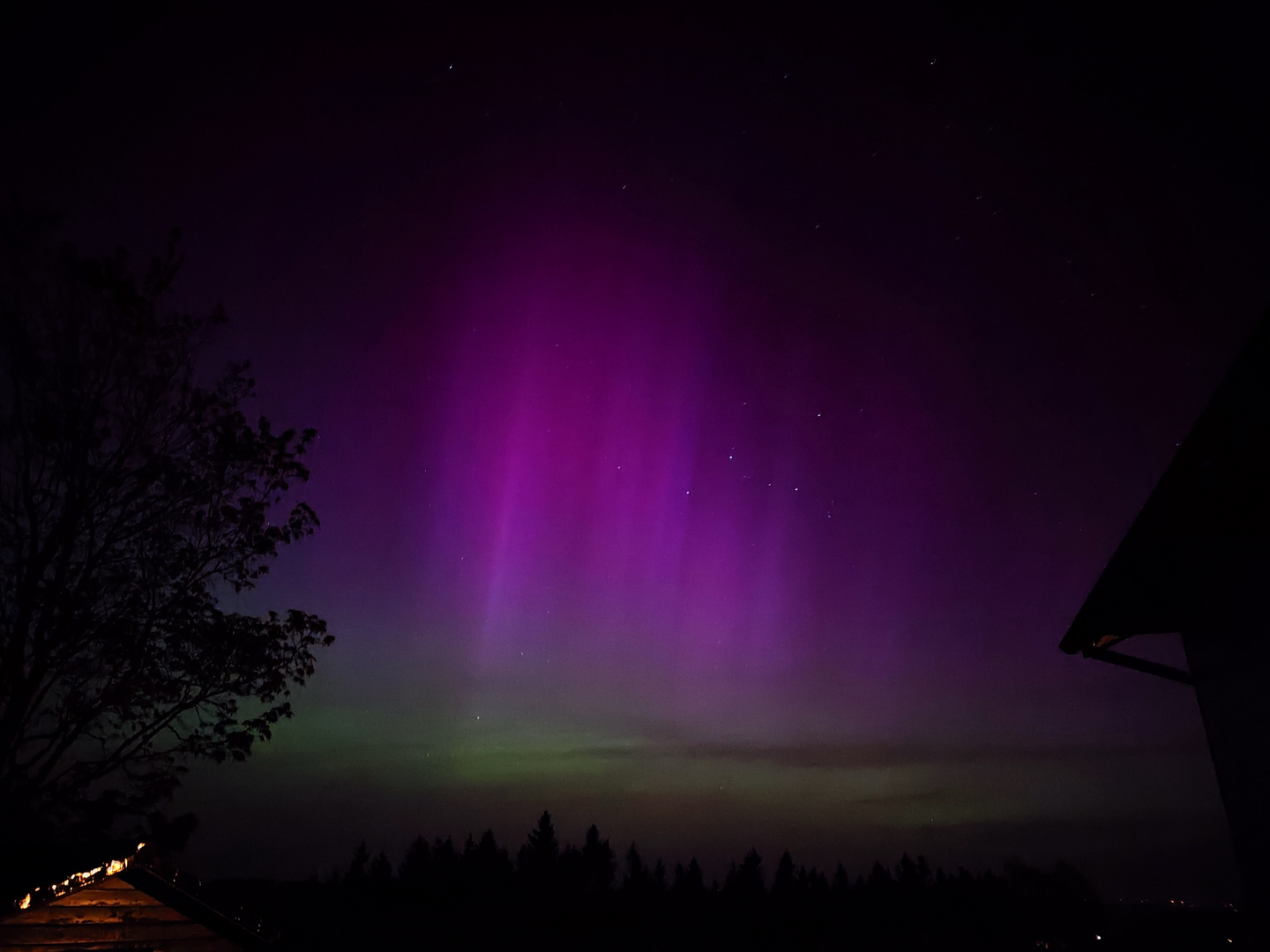 PINK auf GRÜN + Cassiopeia