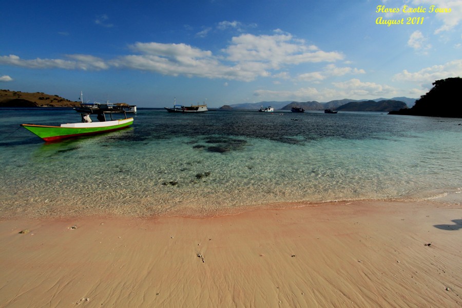 Pink Beach auf Komodo inseln Indonesien