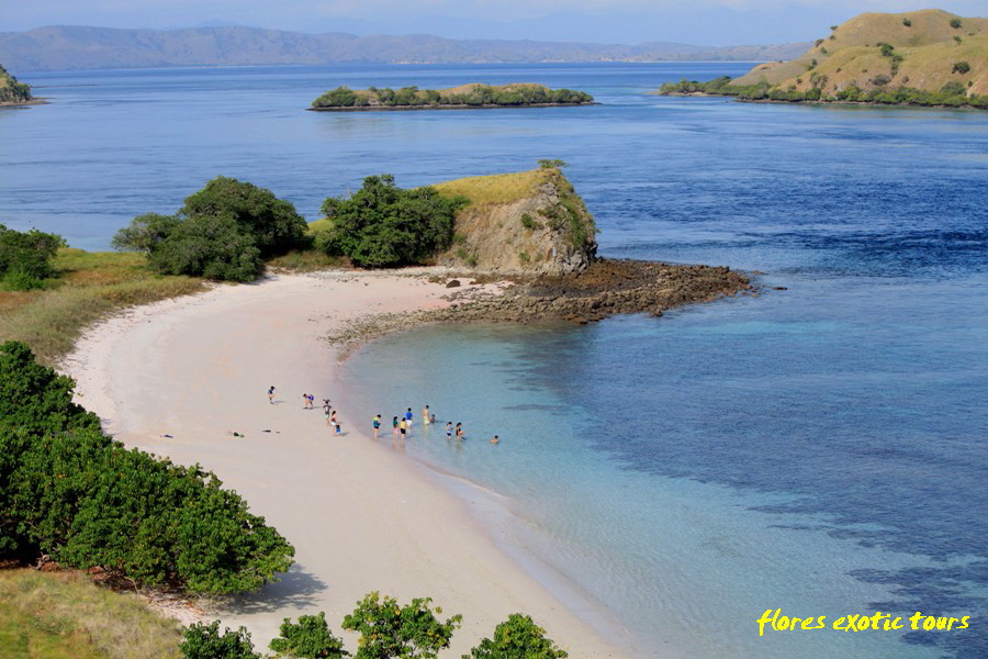 Pink Beach, Insel Komodo Indonesien