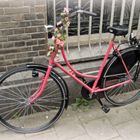 pink bicycle