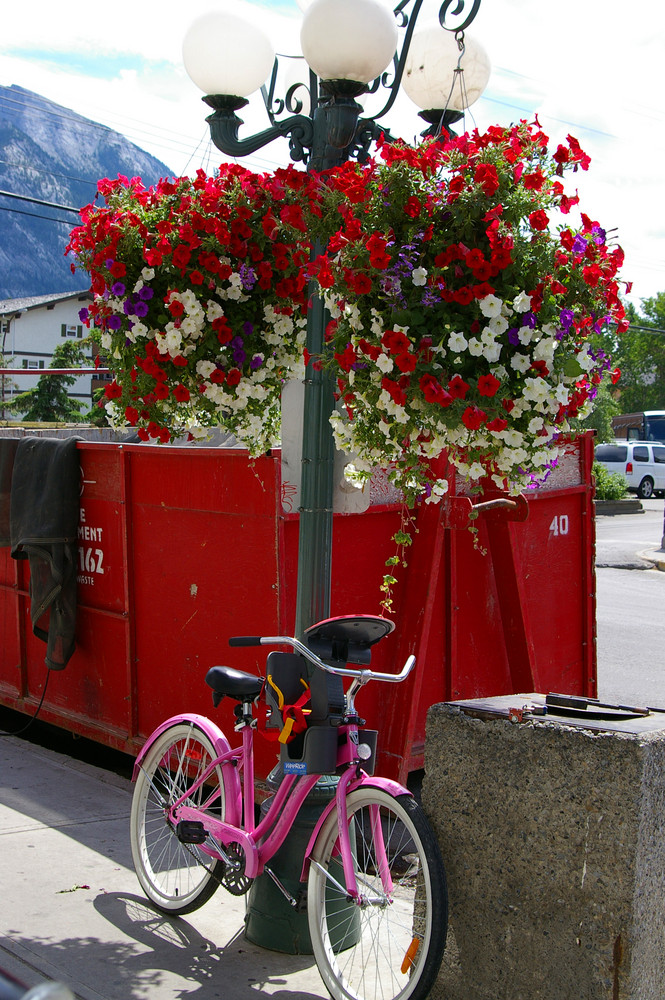 Pink Bike