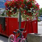 Pink Bike