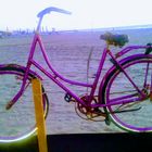 Pink bike