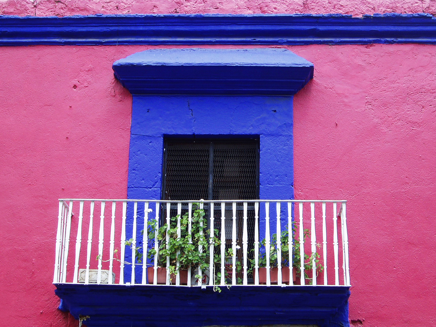 Pink, blau, Oaxaca