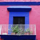 Pink, blau, Oaxaca