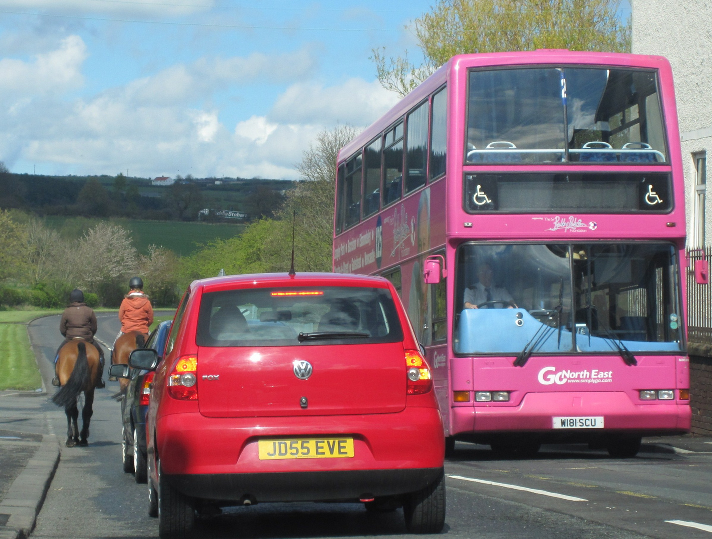 Pink Bus.