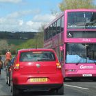 Pink Bus.