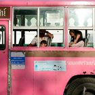 Pink Bus