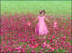 pink--