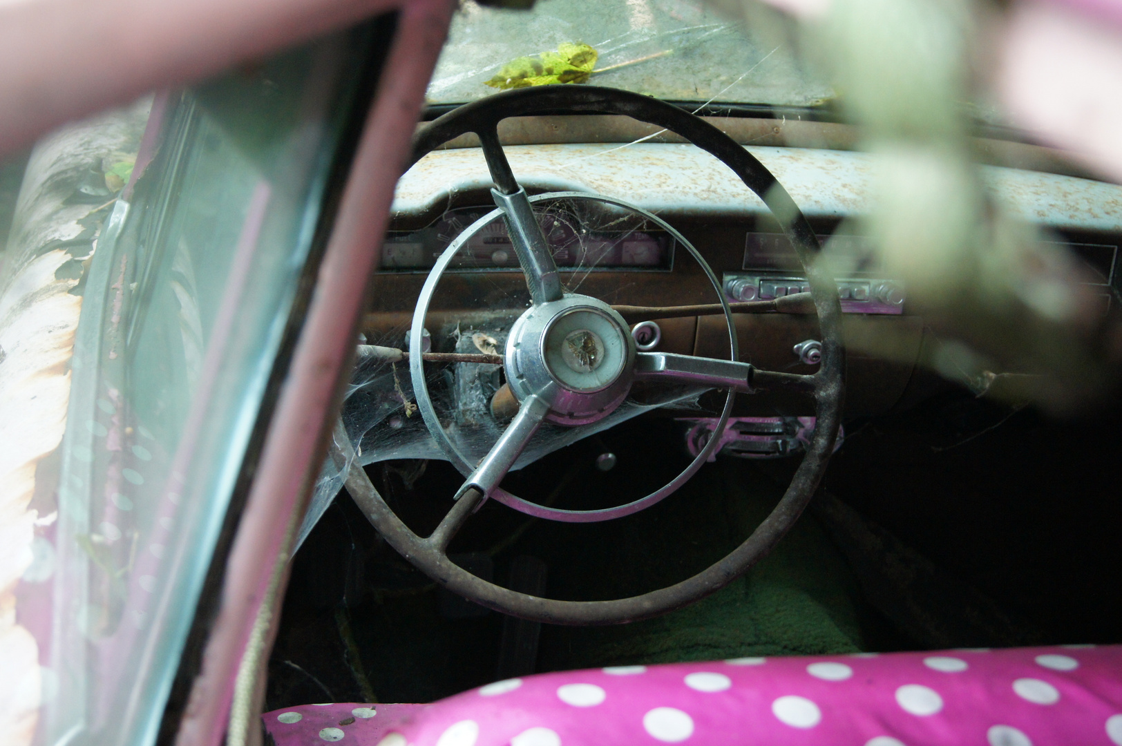 Pink Cadillac........