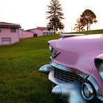 PINK CADILLAC