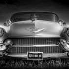 Pink Cadillac in b&w