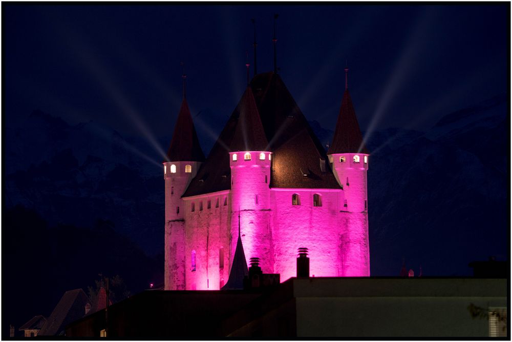 Pink Castle