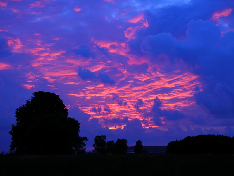 pink clouds