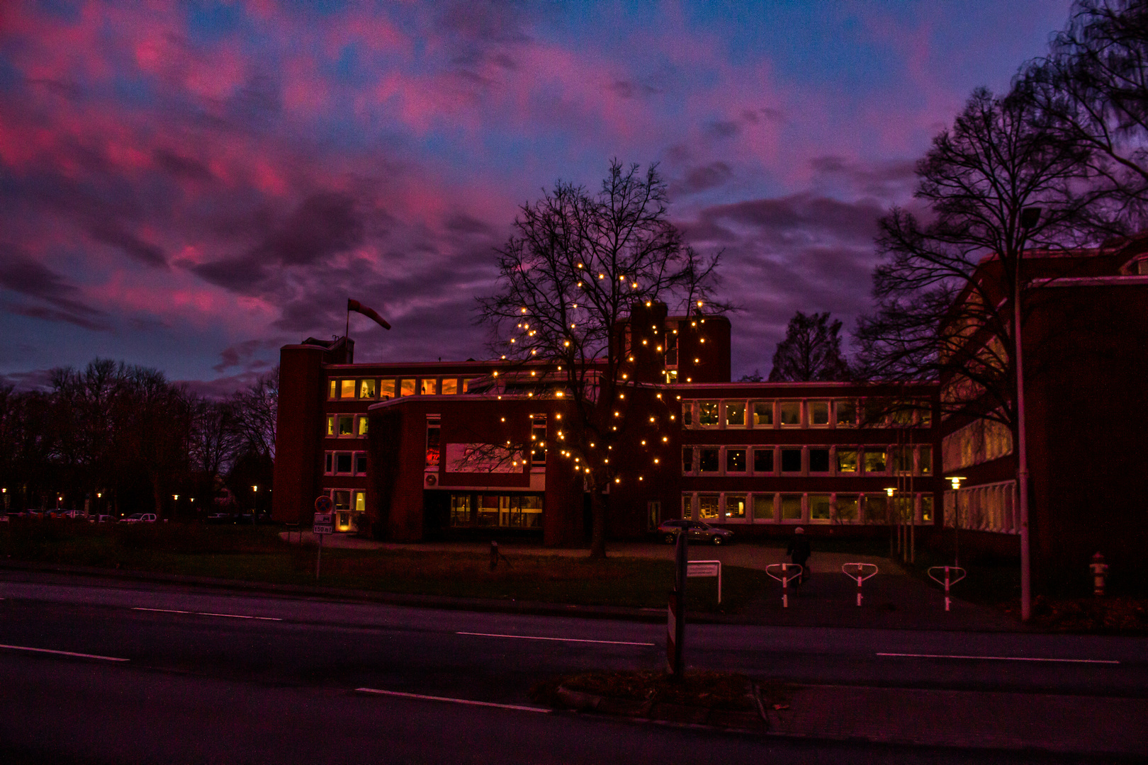 Pink Clouds