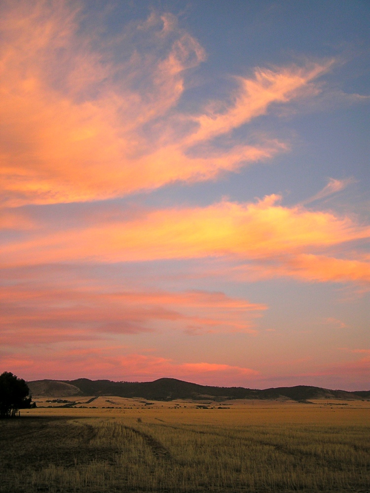 Pink Clouds Ballet