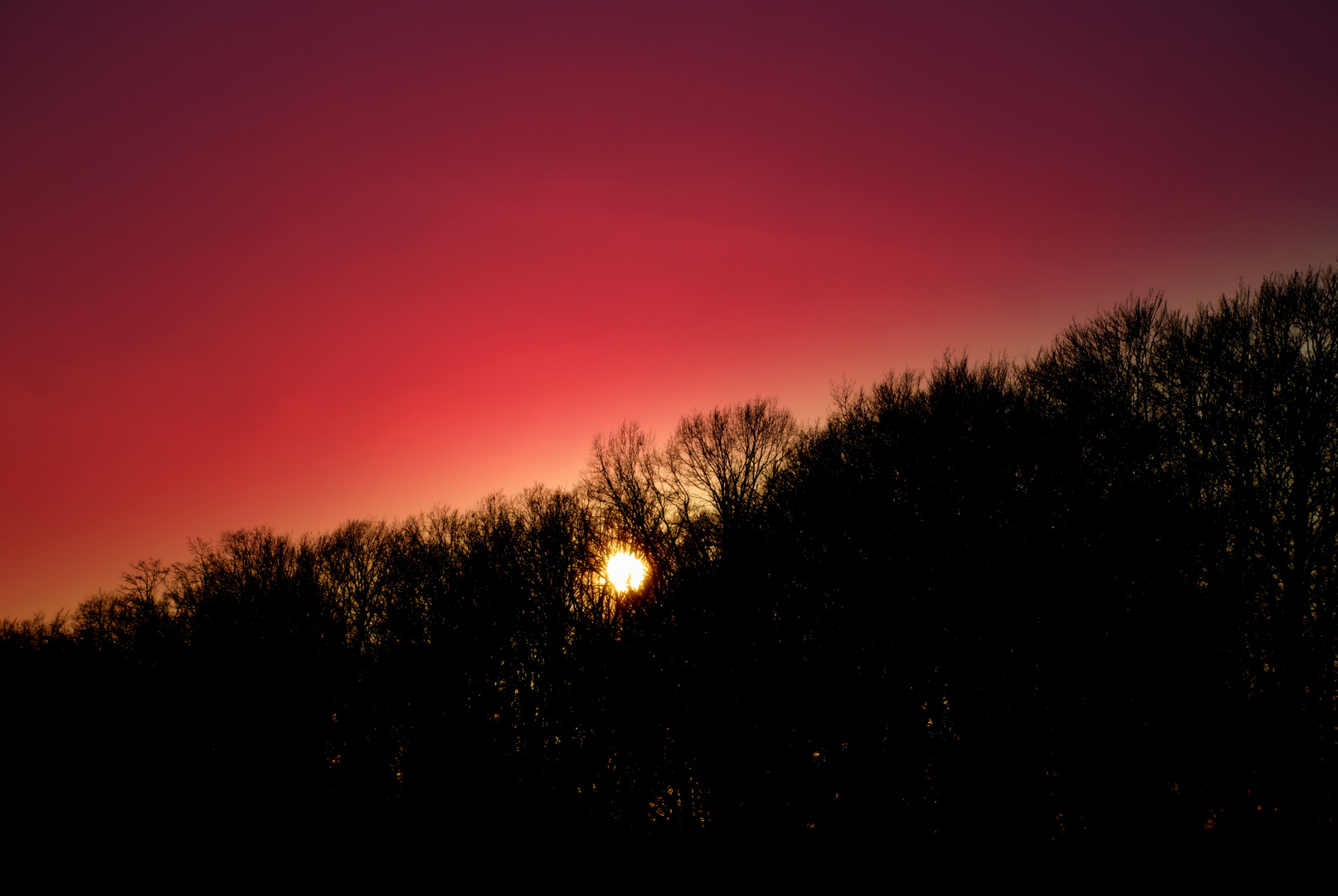 pink clouds