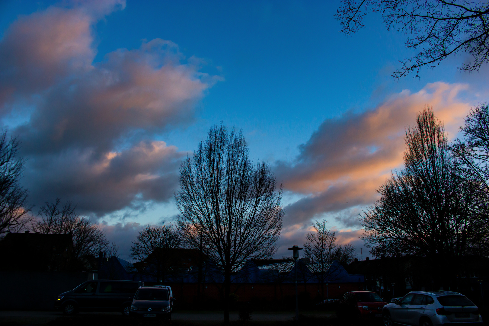 Pink Clouds