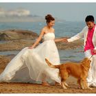 Pink Dog Chinese Wedding Shooting