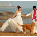 Pink Dog Chinese Wedding Shooting