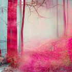 pink forest