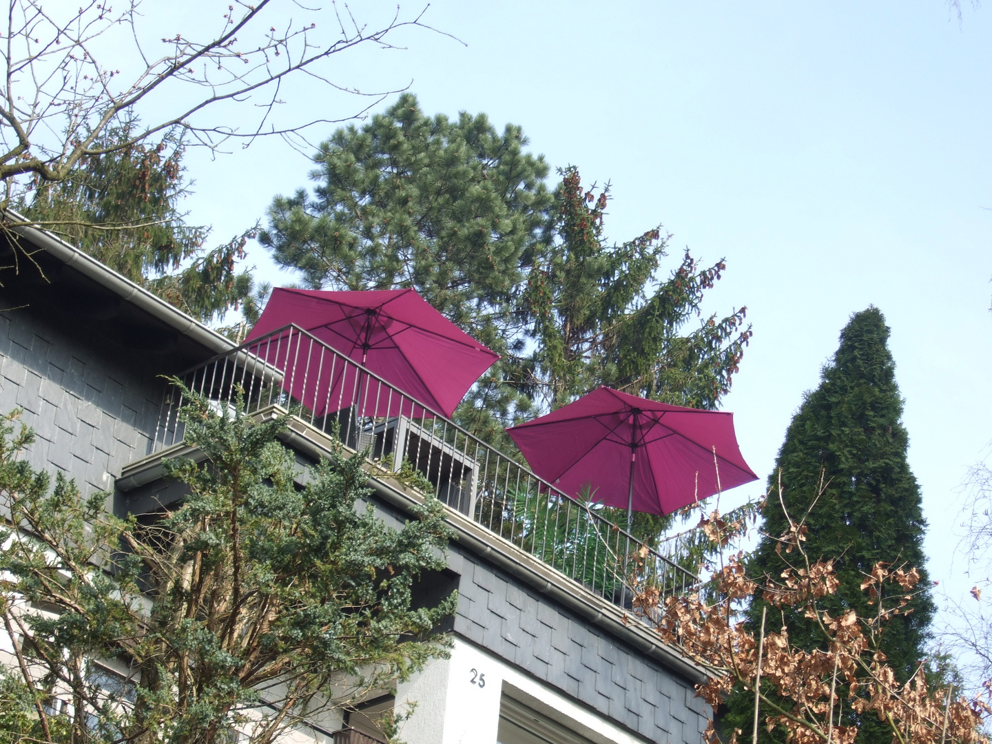 Pink garden parasol